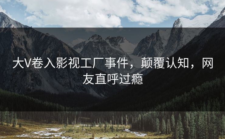 大V卷入影视工厂事件，颠覆认知，网友直呼过瘾